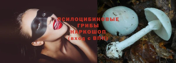 винт Алзамай
