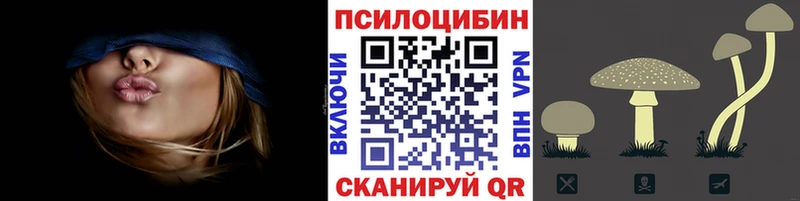 Галлюциногенные грибы Psilocybine cubensis  Малоархангельск 