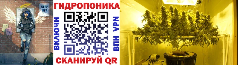 как найти закладки  Малоархангельск  Бошки марихуана OG Kush 